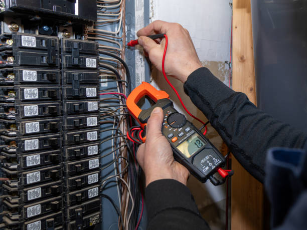 Best Ceiling Fan Installation Electrician  in Buena, NJ